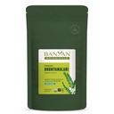 Banyan הבוטנים Bhumyamalaki אבקת - אורגני Liver בריאות תוספת * - Phyllanthus spp. - עבור טבעי Detoxification & ניקוי של Liver * - 1/2 פאונד - Non GMO Sustainably Sourceed טבעוני טבעוני טבעוני