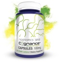 Nootropics Depot Cognance Enhanced Bacopa כמוסות | 100 מ"ג | 10 Ebelin Lactone | Bacopa monnie | Mood, Memory, and 5-HT2A Activation, Count 180 (Pack of 1)