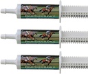 High Endurance Oral Paste Horses - 3-Pack. אלקטרוליטים, ויטמינים ומינרלים כדי לעזור למנוע התייבשות. 3 60 מ"ל Easy-Dose Syringes Cox Veterinary Lab מיוצר בארה"ב.