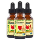 CHILDLIFE ESSENTIALS Echinacea לילדים - Kids Echinacea Drops, נוזל Tincture, תוספת אלכוהול חינם לתינוקות, טוילרים, ילדים - כתום טבעי, 1 Fl Oz (Pack של 3)