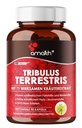 Amalth Tribulus Terrsestris, 20:1 לחלץ פרי המשרתת, הפוטנטיות הגבוהה ביותר עם אשוגנדה, Saw Palmetto, Shilajit 120 קפסולות