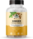 בוטיקים מרהיבים ג'ינג'ר Root Extract טבליות 200 מ"ג - 10% ג'ינג'רול, 20 מ"ג לכל Tablet, 30 טבליות