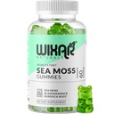 Sea Mossss Gummies - Natural Irish Sea Moss and Bladderwrack with Burdock Gummy - 60 מסטיקים - טבעוני - חיסון בריא, Gut & כללי בריאות תמיכה - Herbal Alkaline תוספי מזון