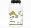 Larch Tree Extract 900mg Arabinogalactan (AG) - 90 קפסולות - אין תוספות