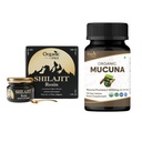 OrganIC SPREE Pure ההימלאיה Shilajit Resin & Mucuna תוסף - 20g & 120 טבליות - 85 + Trace מינרלים Fulvic Acid Resin & USDA אורגני Mucuna Pruriensens