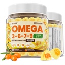 אומגה 3-6-7-9 חניכיים, ים אורגני Buckthorn שמן 1200MG & Flaxseed Oil 500MG, אומגה 7 תוספת w /Vitamin A, C, E, Fatty Acids, No Fish Taste, תומך עור, עין, Immune, Brain Health, 60 Cts
