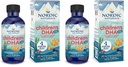 Nordic Naturals Children's DHA Xtra, ברי פונץ - 2 oz לילדים - 880 מ"ג אומגה 3 עם EPA & DHA - פונקציונליות קוגניטיבית & Immune, למידה, פיתוח חברתי - Non-GMO - 48 משרתים (Pack of 2)