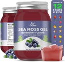 Sea Mosss Gel - 18.5oz Blueberry Flavor Raw Foodstious Sea Mosss Gel במינרלים, חלבונים וויטמינים, טבעוני-ידידותי, 2 Tablespoon Daily