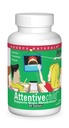 מקור Naturals Attent Child - חומרים מזינים קוגניטיביים בריאים לילדים פעילים - שיפור מיקוד ותשומת לב עם DMAE, Magnesium, Zinc & Grape Seed Extractd Extract - 60 טבליות