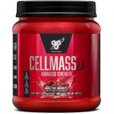 BSN CELLMASS 2.0 Post Workout Recovery with BCAA, Creatine, & Glutamine - Keto Friendly - Arctic Berry, (25 משרתים)