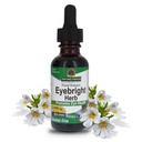 תשובתו של הטבע Eyebright Herb | תמיכה בעיניים וחזון בריאים | Non-GMO | אלכוהול ללא תשלום, Gluten-Free, Kosher Certified, Vegan & No Preservatives 1oz