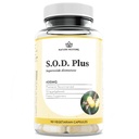 שחזור טבע S.O.D. Superoxide Dismutase תוסף, 4,000 IU SOD-Like Activity, טבעוני, 90 קפסולות, non-GMO, Gluten Free