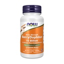 NOW Foods Supplements, BerryDophilus™, Developed for Adults & Children with 10 Probiotic Strains, Extra Strength,Strain Verified, 50 Chewables