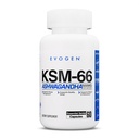 Evogen KSM-66 Ashwagandha 600mg | 60 Capules | Stress Relief, Sleep Aid, & Focus Support | Premium Ashwagandha Capsules