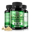 Irish Sea Mosss כמוסות 120ct Raw Sea Mos Wildated Bladderwrack Burdock Root כמוסות Super Food Immune System Mos Pills