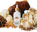 Rainbo - 11:11 Multi Mushroom Tincture - 11-in-1 אלכוהול חינם - כפול לחלץ מקושנר בלנדר - תמיכה מקיפה Immune, Brain Support, Liquid Lion's Mane & Turkey Tail, טבעוני, non GMO, 3.4 fl oz
