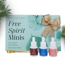 Apothékary Free Spirit Minis Set | מהדורה חדשה, Herbal Liquid Drops, יין כולל Down, Rosé-Tinted משקפיים, Take The Edge Off & 1 Gold Spoon, Sugar Free, 3 Bottles,15 משרתי בקבוק
