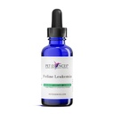 Feline Leukemia Solution for Cats