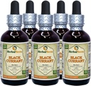 Black Currant (Ribes nigrum) Tincture, Dried Leaves נוזל לחלץ (שם בדוי: HerbalTerra, המיוצר גאה בארה"ב) 5x2 fl.oz (5x60 מ"ל)
