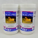 SU-PER Mag Pro Horse Calming תוסף - תמיכה התנהגות רגילה ואפקט קלמינג - תוספת מגנזיום עבור סוסים - 4 פאונד, (2 Pack)