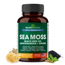 SANDHUHERBALS Sea Moss קפסולות עם שמן Seed שמן אשווגנדה ג'ינג'ר Burdock Root | Advanced Seamos 60 Count | All Men Women Age