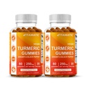 חניכיים Vitamatic Turmeric עם ג'ינג'ר & Black Pepper - 60 חניכיים טבעוניות כל אחת | 2 Pack (120 חניכיים) 95% Curcuminoids - Powerful Antioxidant & Inflammatory Support