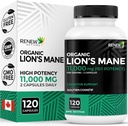 חידוש Actives Premium Organic Lion's Mane Mushroom 1100MG לכל שתי קפסולות - תומך בתפקוד המוח, זיכרון, מיקוד, טיפול בלחץ ובריאות החיסון, Non-GMO, טבעוני - מיוצר בקנדה - 120 קפסולות