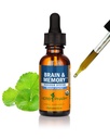 Herb Pharm אורגני nootropic Brain & Memory תוספת עם ג'ינקגו בילובה לחלץ: קיצור מהיר עבור תמיכה ממוקדת נפש, תוסף גינקו, טבעוני, Gluten-Free, non-GMO, 1 Oz
