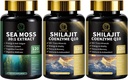 Sea Mossss ו Shilajit קפסולות לגברים ונשים, All in 1 תוספים עם Shilajit, Sea Moss, Coenzyme Q10, Black Seed, Ashwagandha, Burdock for Energy, Antioxidant & Immune Support Support.