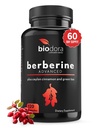 Berberine Advanced Plus עם 1200mg Berberine - 100 מ"ג Ceylon Cinnamon ו 100 מ"ג ייצור תה ירוק - 1400mg Per Dose -120 קפסולות - 60 יום אספקה - תמיכה Immune ו Cardiovascular