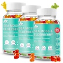 BIO VITALICA Sea Moss Gummies Elderberry BioVitalica - ויטמין C + Zinc - Irish Seamoss טבעוני עם Sea Moss Gel & אבקת עבור Immunity, Detox - למבוגרים ולילדים (3Packs)