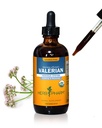 Herb Pharm מוסמך אורגני ולריאן שורש לחלץ להרגעה ולשינה מנוחה, אלכוהול חינם Glycerite, 4 Ounce