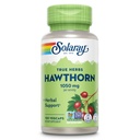 SOLAרי הותורן ברי קפסולות 1050 מ"ג - Soothing Herbal Support - הותורן ברי תוספת לתמיכה כללית של בריאות - Whole Berry, Vegan, Non-GMO, 60 יום ערבות, 50 משרתות, 100 VegCaps