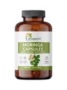אלומיניום Moringa - 120 Count | Pure Moringa Oleifera Leaf אבקת גלולות | Natural Superfood Supplement | Herbal Energy & Antioxidant Support