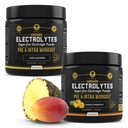 HRDWRK - 100 משרתי Keto Electrolytes אבקת hydrotion סוכר חינם - אבקת אלקטרוליטה כדי Boost Endurance ולהפחית Fatigue עם תוסף אלקטרוליטים - Unflavored & מנגו Pineapple Set