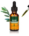 Herb Pharm מוסמך אורגני אוליב עלה לחלץ תמיכה במערכת החיסון - 1 Ounce