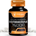 Goodness LABSRX Berberine תוסף 15,000 מ"ג - ברברין עם Ceylon Cinnamon, הכולל מזון תומך קפסולות - 120 קפסולות (Pack of 1)