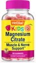 ובכן, כן מגנזיום Citrate Gummies לילדים - תוספת הקלה בלחץ לילדים - Calm טבעי, תמיכה Mood, non-GMO, Gluten Free - Natural Sourced Flavors - 60 חניכיים