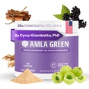 אבקת Amla ו- Immunity בלגן Superfood תוסף עם Elderberry, 20x Ultra ריכוז Amla, Immune Support, Made עם ג'ינג'ר, Cinnamont, Peppermint, אוגוזים הודיים, חסינות, 30 משרתים