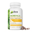 Jiva הבוטנים Moringa לעזוב קפסולות חילוף - עשוי ממולנגה על אבקה ותוספת Oleifera עבור Immune ותמיכה משותפת רגילה - 90 קפסולות (Pack of 1)