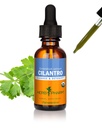 Herb Pharm מוסמך cylantro לחלץ תמיכה ניקוי ו Detoxification - 1 Ounce