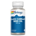 SOLAרי Black Currant Seed Oil 600 מ"ג - אספקת אנטי-חמצן, Gamma Linolenic Acid (GLA), Alpha Linolenic (ALA) ו- Linoleic Acid (LA) - תמיכה בבריאות העור - 60 ימים ערבות, 90 הגשה, 90 משרת, 90 גללס