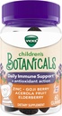 ויקס ילדים הבוטנים היומיים של Immune Support * + Antioxidant Action, Gummies, Made with Zinc, Goji Berry, Acerola פירות, and Elderberry, 60 ct