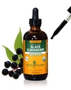Herb Pharm מוסמך אורגני Black Elderberry לחלץ תמיכה במערכת החיסון, אלכוהול חינם Glycerite, 4 Ounce