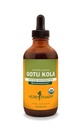 Herb Pharm מוסמך אורגני Gotu Kola נוזל לחלץ תמיכה מערכת Musculoskeletal - 4 Ounce