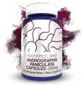 Andrographis פאניקהulata קפסולות | 200 מ"ג | 60 Count | 50% אנדרוגרף | תמיכה בתפקוד Immune