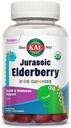 KAL Jurassic Elderberry ילדים מסטיקמיות | תמיכה כספית | USDA אורגני, טבעוני, Gluten Free | 30  משרת, 60 Ctt