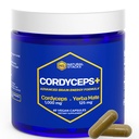 Cordyceps Mushroom קפסולות - 1000 מ"ג Cordyceps לחלץ & 125 מ"ג Yerba Mate לחלץ - 100% פרי הגוף Mushroom תוספת - תמיכה המוח אנרגיה וביצוע קוגניטיבי - 60 Yerba Mate קפסולות