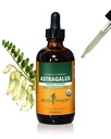 Herb Pharm מוסמך אורגני Astragalus לחלץ תמיכה במערכת החיסון - 4 Ounce