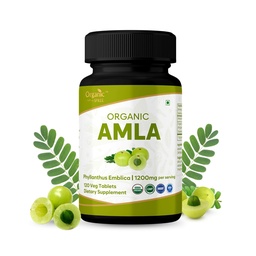 Amla 120 טבליות - USDA אורגני Joberry - עשיר ויטמין C & תמיכה בריאות החיסון *